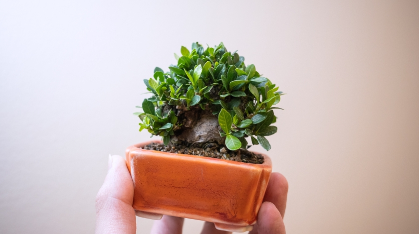 我來試試哩!!嘿嘿